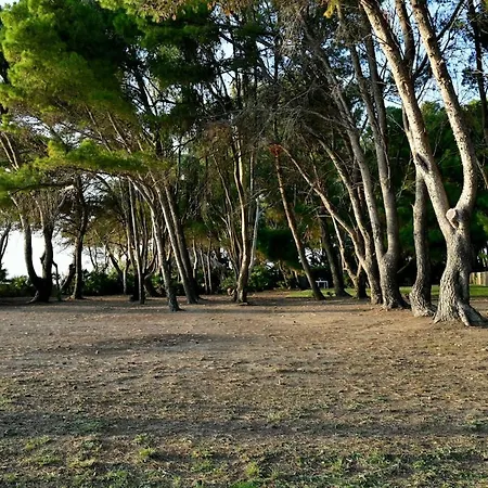 Apartment Seafront Luxury Tenuta Di Punta Licosa San Marco di Castellabate